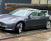Невероятное везение: электромобиль Tesla остался невредимым после падения дерева (видео)