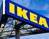 Карпатская древесина для IKEA: Гослесагентство проверит расследование