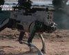 Со взрывчаткой и FPV-дронами: Китай показал работу боевых роботов-собак (видео)