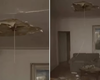 Вібрувала та тріскала: через пустощі сусідів у чоловіка вдома впала стеля (відео)