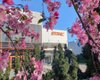 STIHL Украина уплатила в госбюджет более 131 миллиона гривен налогов