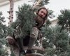 ​Американец взобрался на огромное дерево в центре Сиэтла и не хочет слезать