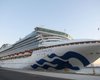 Заболевшие коронавирусом на лайнере Diamond Princess украинцы выздоровели, – нардеп
