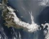 Цунами привело к появлению нового вида рыб: но есть один нюанс (фото)