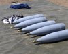 Минобороны вернуло ВСУ боеприпасы, которые до войны передали на утилизацию: что это за снаряды
