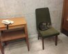 МИД Украины принял на службу кота Амбассадора