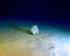 В самой глубокой точке Средиземного моря обнаружили то, чего там быть не должно: о чем речь (фото)