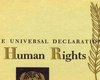 Декларация прав человека установила рекорд переводов