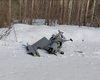 80 км от Кремля. Упавший под Москвой беспилотник был начинен взрывчаткой, — росСМИ
