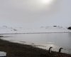 Коронавирус добрался до Антарктиды