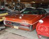 Раритеты на $500 000: обнаружена заброшенная коллекция редких американских авто (видео)