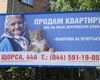 Агентства недвижимости начали использовать билборд с бабушкой и котом в коммерческих целях