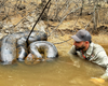 "Настоящий монстр": мужчина оказался в воде с гигантской 6-метровой анакондой (видео)