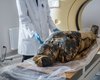 Самые древние мумии не имеют отношения к Египту: кто мумифицировал умерших первым
