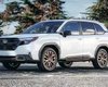 Новый Subaru Forester 2024 показали до премьеры: как изменится кроссовер (фото)