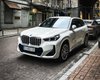 В Україні з'явився найновіший компактний кросовер BMW (фото)