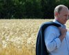 Путин пообещал россиянам рекордный урожай зерна: оккупанты тоннами крадут его из Украины