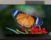 "Картинка просто супер": бюджетный OLED-телевизор Samsung порадовал во время тестов (фото)