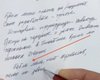 Лукашенко извинился перед женщинами по поводу фразы о "телках"