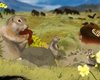 Зомби ледникового периода: 700 000 лет тому белки питались мамонтами, бизонами и кошками (видео)