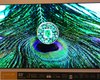 Какой OLED-телевизор купить в 2026 году: эксперт сравнил LG G6 и Samsung S95H (фото)