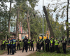 Более 600 деревьев под угрозой: в Киеве возобновили строительство теплосети на Теремках (фото)