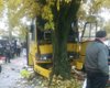 Во Львове автобус врезался в дерево и перевернулся