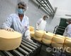 Роспотребнадзор забраковал 15 партий украинского сыра