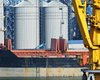 Зерновой коридор: Украина хочет продлить сделку на год и включить в нее порты Николаева