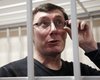 Янукович об освобождении Луценко: Мне его как человека жаль
