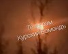 Почти 30 дронов ночью атаковали РФ: взрывы слышали в Белгородской и Курской областях (видео)