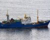Траулер затонул в России: погибли 50 иностранцев и 4 украинца