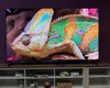 Какой Mini LED телевизор выбрать: эксперт сравнил TCL X11L и Hisense U8QG (фото)