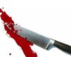 Сын депутата Госдумы РФ признался в убийстве