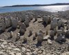 Помогла засуха. В Испании из пучины речной поднялся близкий родственник Стоунхенджа (фото)