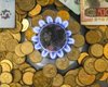 Тариф "Новогодний". Потребителям без счетчиков не отключат газ