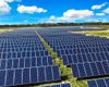 Більше шкоди, ніж користі: сонячні панелі загрожують масовими відключеннями енергії