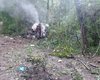 На Харківщині від протитанкової міни загинула родина військового ЗСУ: що відомо (фото)