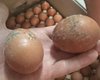 Военный раскритиковал ДОТ за некачественные продукты для армии, — СМИ