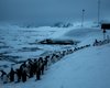 В Антарктиде пингвины оказались в ледовой ловушке и не могут добыть себе пищу