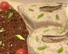 Кулінарний шедевр за кілька хвилин: рецепт паштету зі шпротів