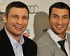 Кличко планируют провести поединок на Олимпийском