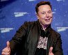 "Похоже на Армагеддон": правление Tesla ищет нового директора вместо Маска, — WSJ
