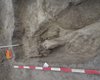 Золотий перстень та срібні прикраси: в Угорщині знайшли надзвичайно багате поховання елітного воїна (фото)