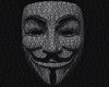 Хакеры Anonymous пообещали отомстить за изнасилование девочек в США