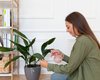Зима и комнатные растения: как сохранить любимые вазоны и уберечь их от гибели