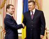 Янукович: "так быстро работать нельзя", Медведев: "придется"