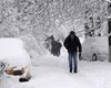 Из Киева за выходные вывезли 24 тысячи тонн снега
