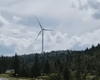 Обеспечит энергией 3000 домохозяйств: на Закарпатье запустили первую ветровую электростанцию (видео)