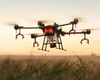 Засіють поля і зберуть мед: як дрони разом із бджолами допоможуть розмінувати Україну